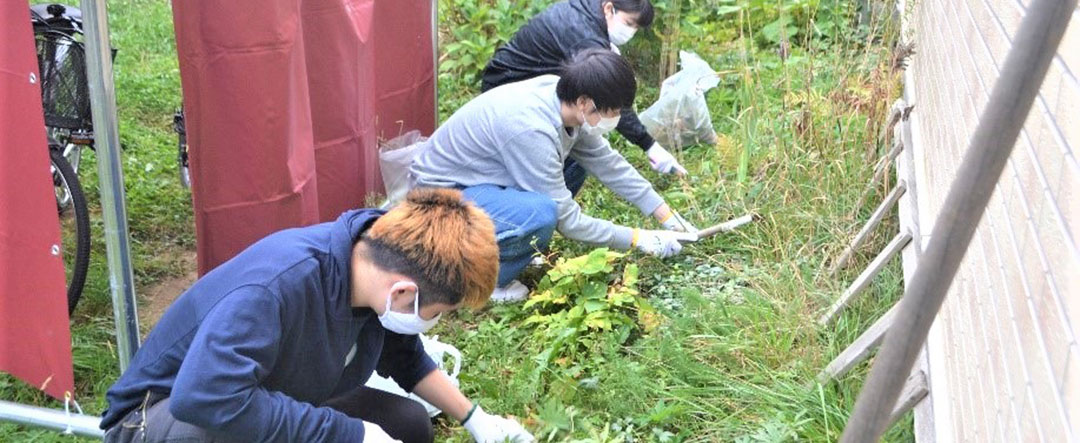 学生ちょいちょいボランティアを実施しました