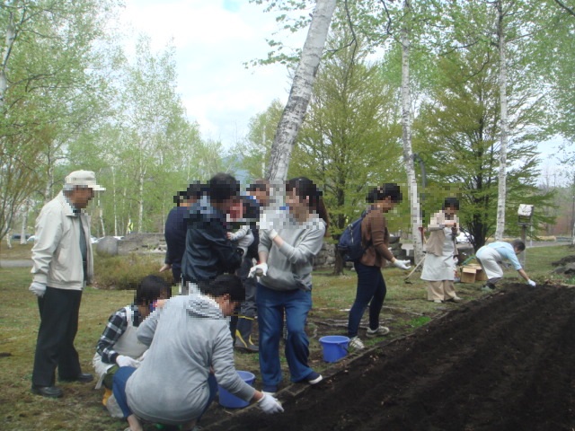 種イモ植え